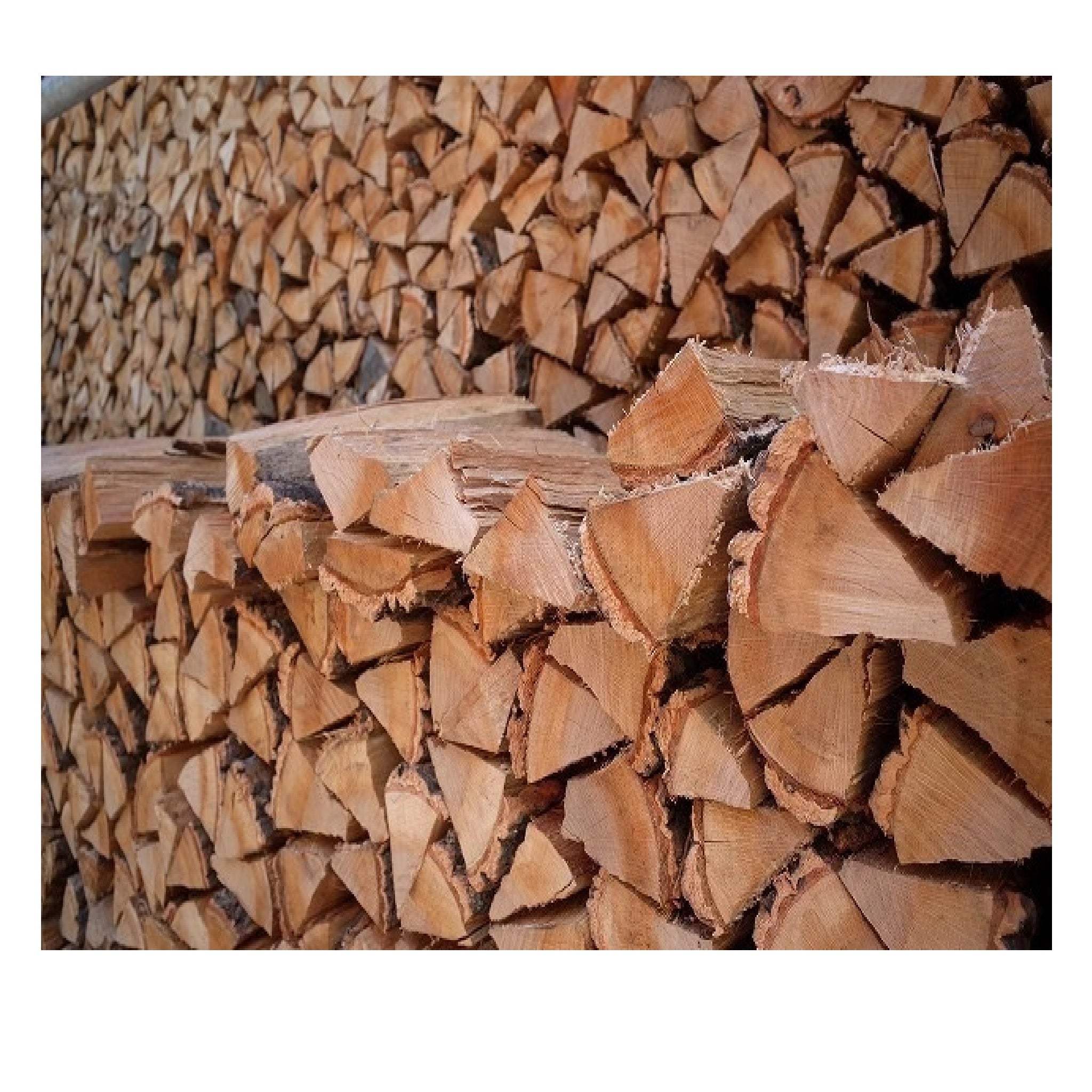 キャンプ・薪 – よろず糸屋本店