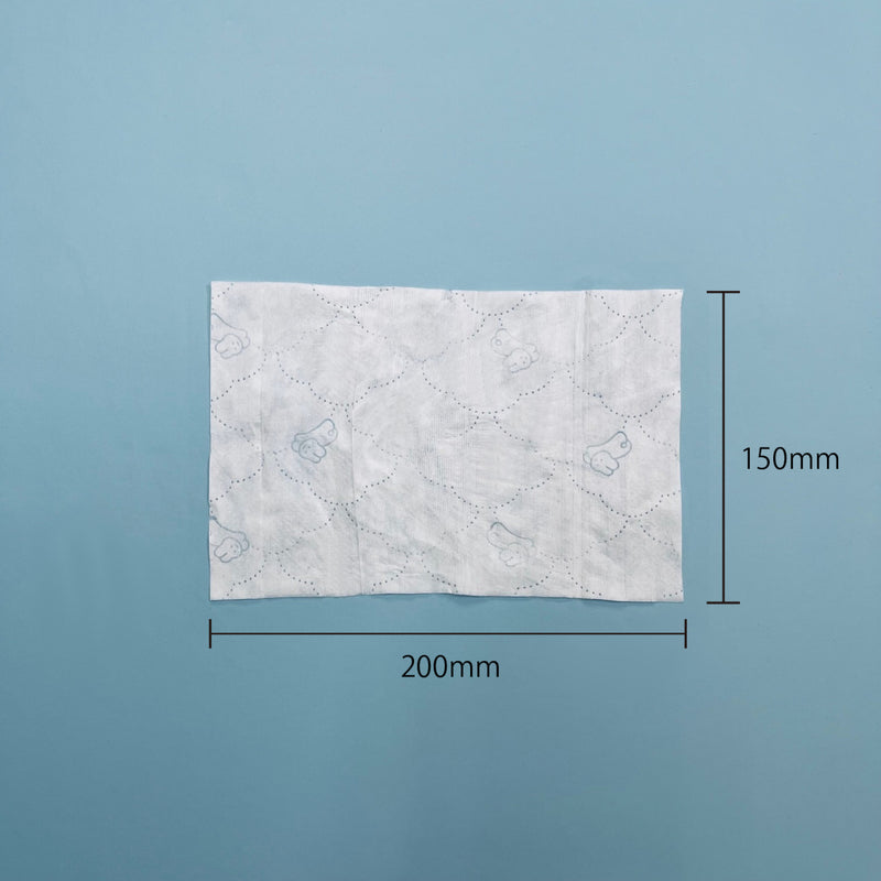 使い捨てウェットトイレットペーパー（200mm×150mm）80枚入り