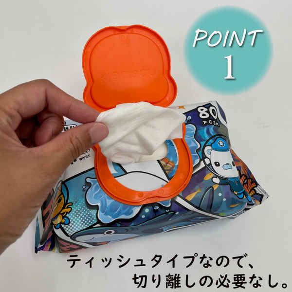 使い捨てウェットトイレットペーパー（200mm×150mm）80枚入り