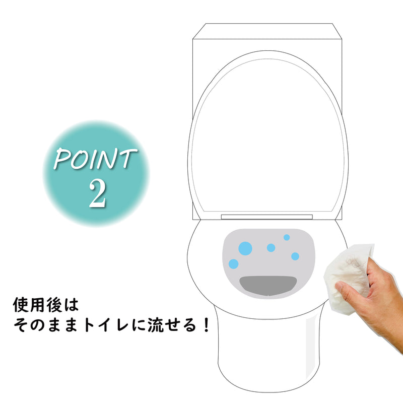 使い捨てウェットトイレットペーパー（200mm×150mm）80枚入り