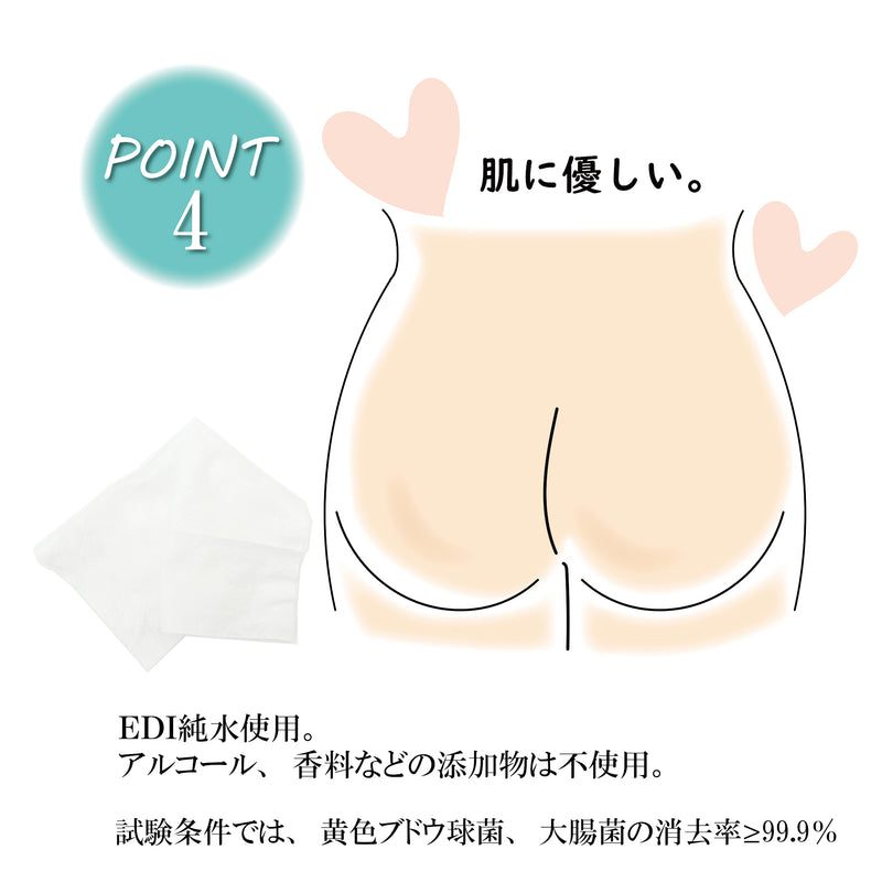 使い捨てウェットトイレットペーパー（200mm×150mm）80枚入り