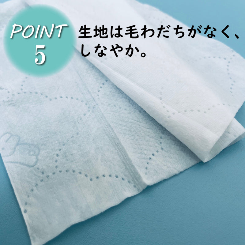 使い捨てウェットトイレットペーパー（200mm×150mm）80枚入り