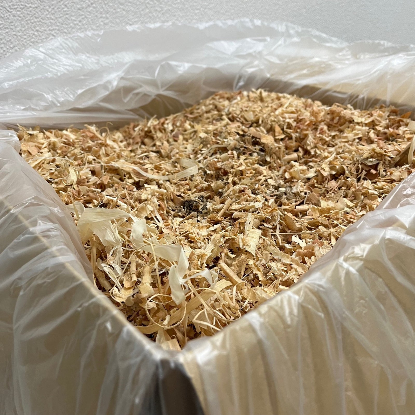 imgrc0088825486_1600x.jpg?v=