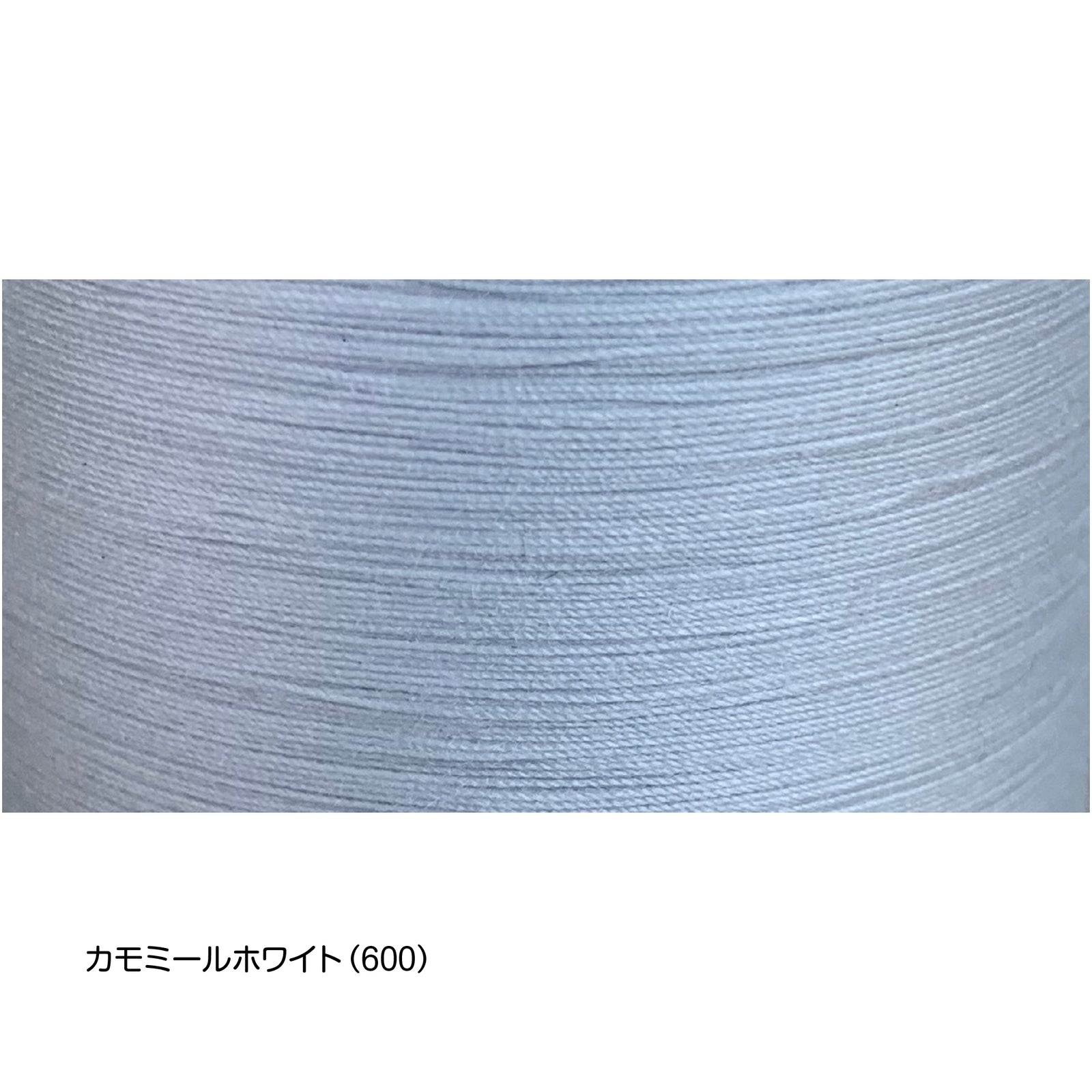 600_72caeaea-6f01-4061-9e8e- 600_72caeaea-6f01-4061-9e8e-