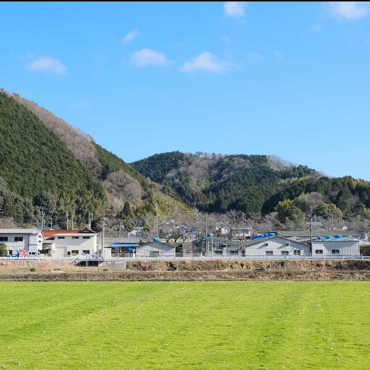 国産 ミシン糸 スパン糸青系3色から選べる 500m巻 3個セット 60